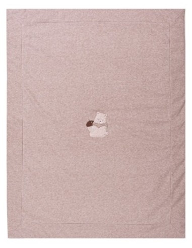 BABY/BOY BLANKET